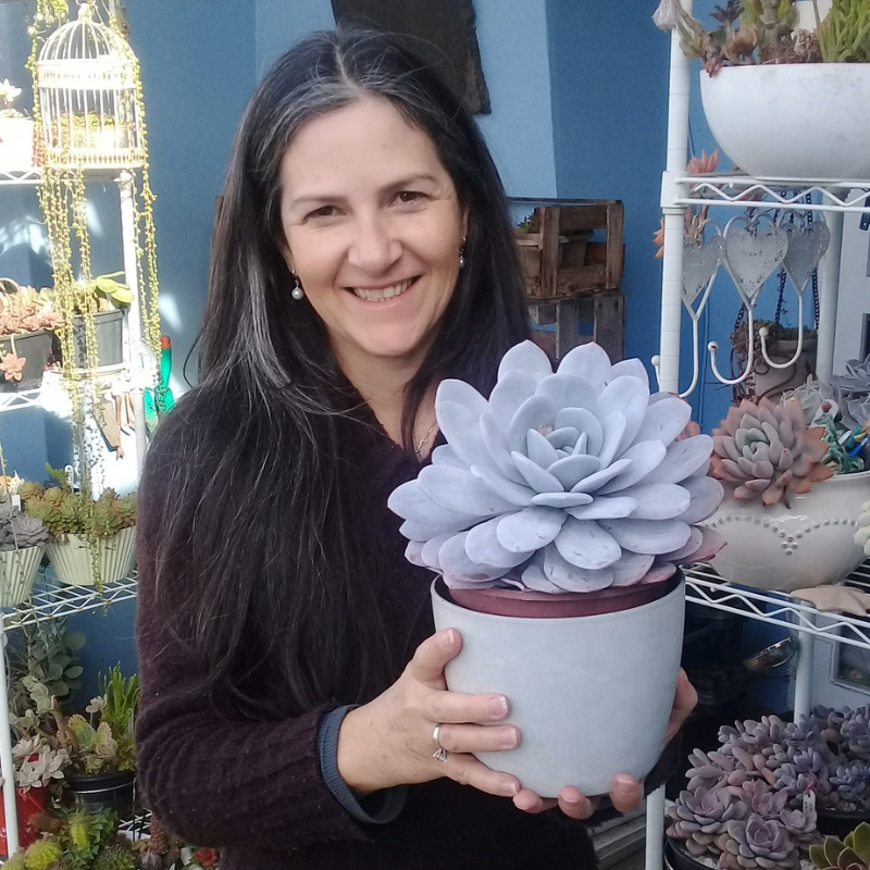 Eu segurando um vaso marrom com a Echeveria Lauii plantada, planta branca