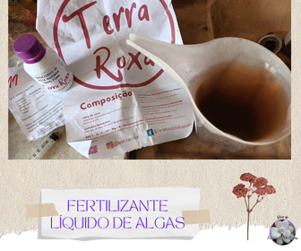 blogfrissondesuculentasfertilizanteterraroxa  Quais os tipos de adubo para suculentas?