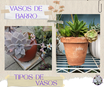 blogfrissondesuculentasvasodebarro Qual o vaso certo para Plantar Suculentas?