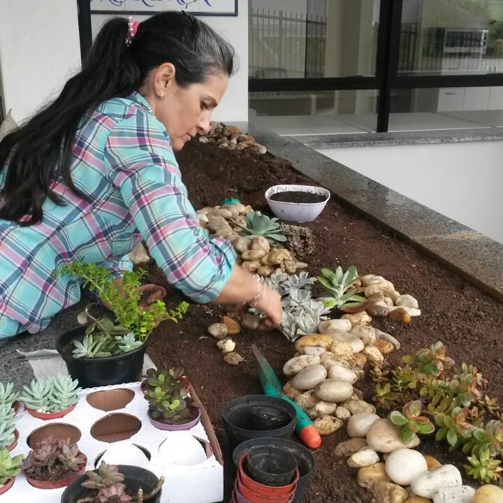 Eu preparando um canteiro e plantando as suculentas