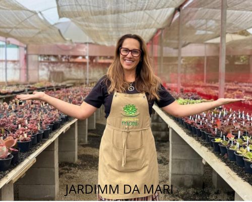 jardimmdamari Onde Comprar Plantas Suculentas?