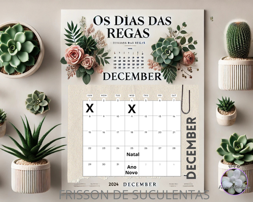 qualomelhorhorariodregarassuculentasmarquenocalendario Qual o Melhor Horário para Molhar as Suculentas?